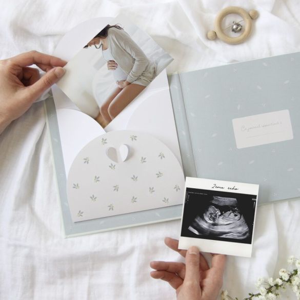 Mon journal de grossesse En attendant Bébé: Livre de grossesse à