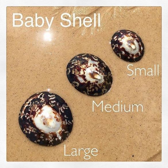 Coquillages d'allaitement en nacre Baby Shell