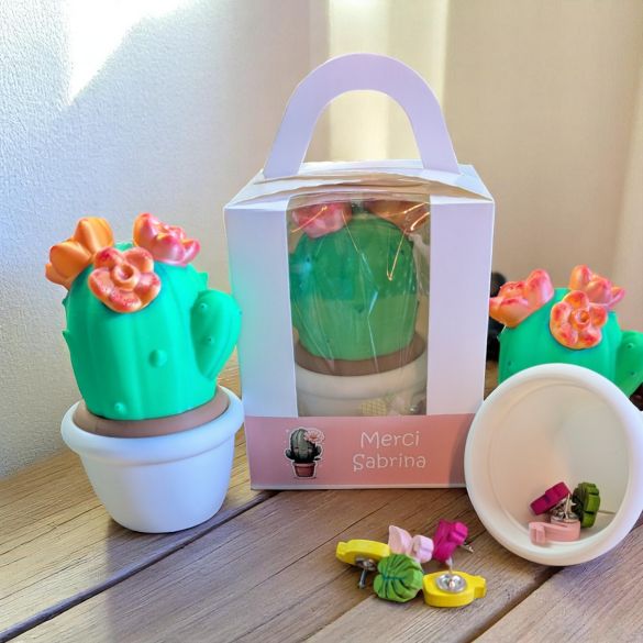 Pot cactus surprise avec emballage personnalisé