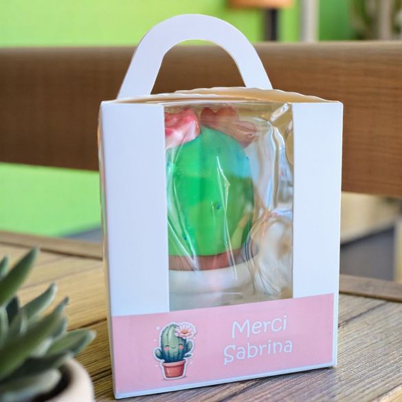 Pot cactus surprise avec emballage personnalisé