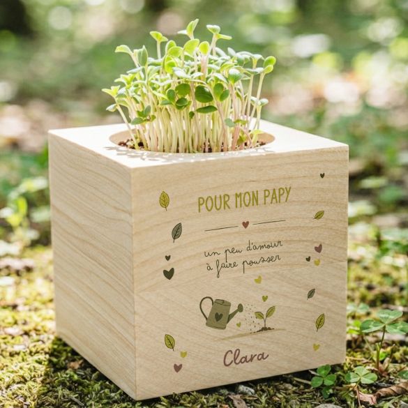 EcoCube personnalisé Papy - Cube à planter en bois, cadeau original pour Grand-Père