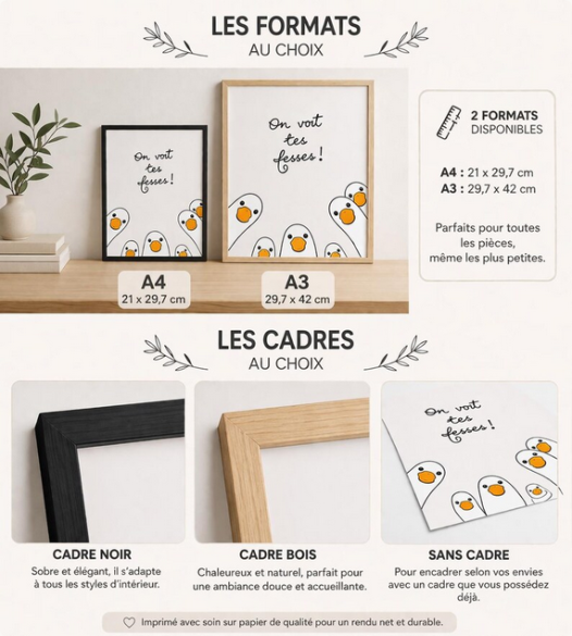 Affiche murale humoristique Oies "On voit tes fesses" | Décoration toilettes