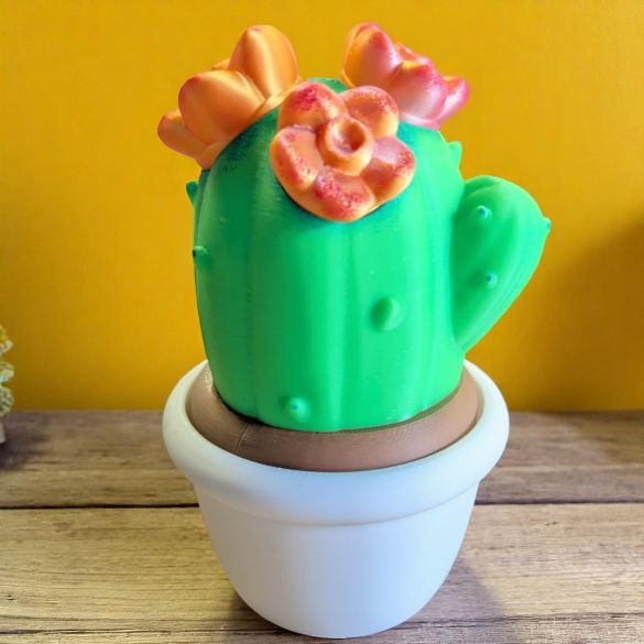 Pot cactus surprise avec emballage personnalisé