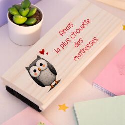 Brosse tableau personnalisée pour enseignant Chouette