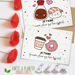 Carte à planter Je t'aime (sushis ou donuts)