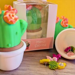 Pot cactus surprise avec emballage personnalisé