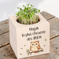 Ecocube personnalisé Chouette | Idée cadeau Atsem, Maîtresse
