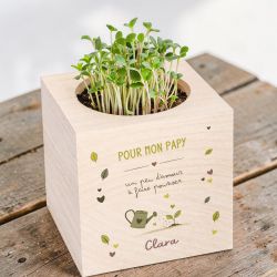 EcoCube personnalisé Papy - Cube à planter en bois, cadeau original pour Grand-Père